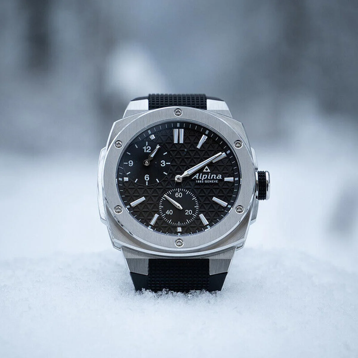 Alpina Alpiner Extreme Regulator AL-650B4AE6 - Image 3