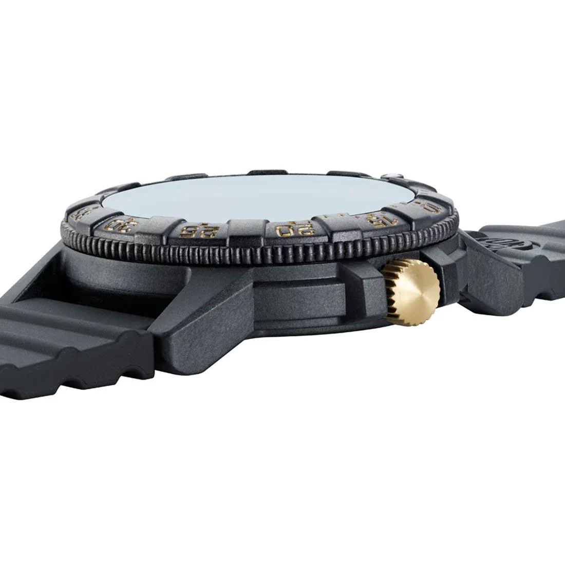 Luminox Leatherback Sea Turtle Giant XS.0325.GP - Image 3