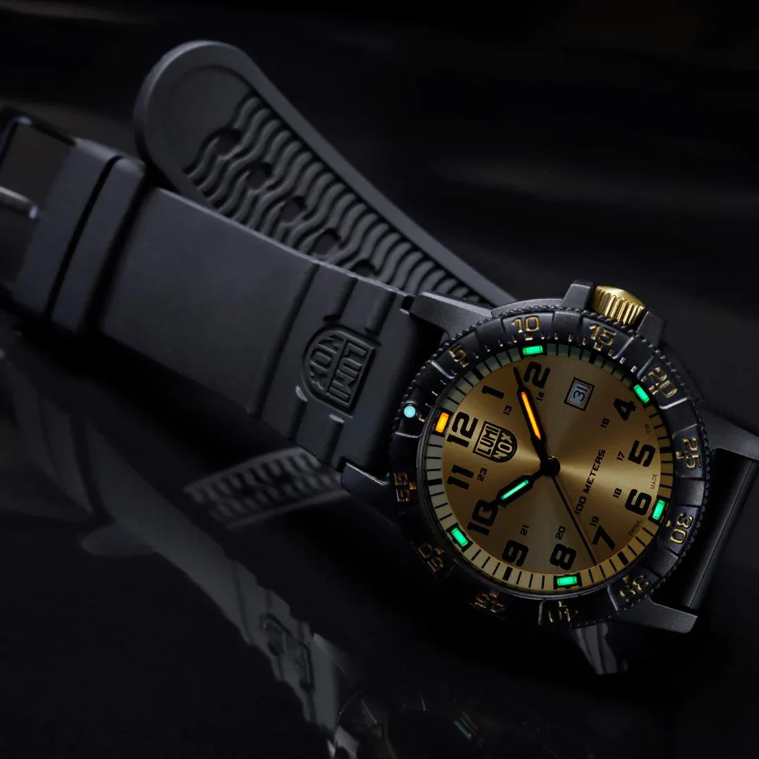Luminox Leatherback Sea Turtle Giant XS.0325.GP - Image 6
