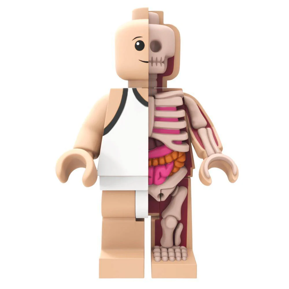 Mighty Jaxx x Jason Freeny Bigger Micro Anatomic