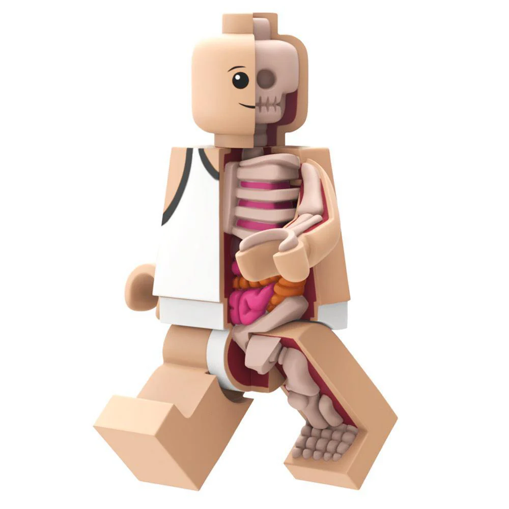 Mighty Jaxx x Jason Freeny Bigger Micro Anatomic - Image 2
