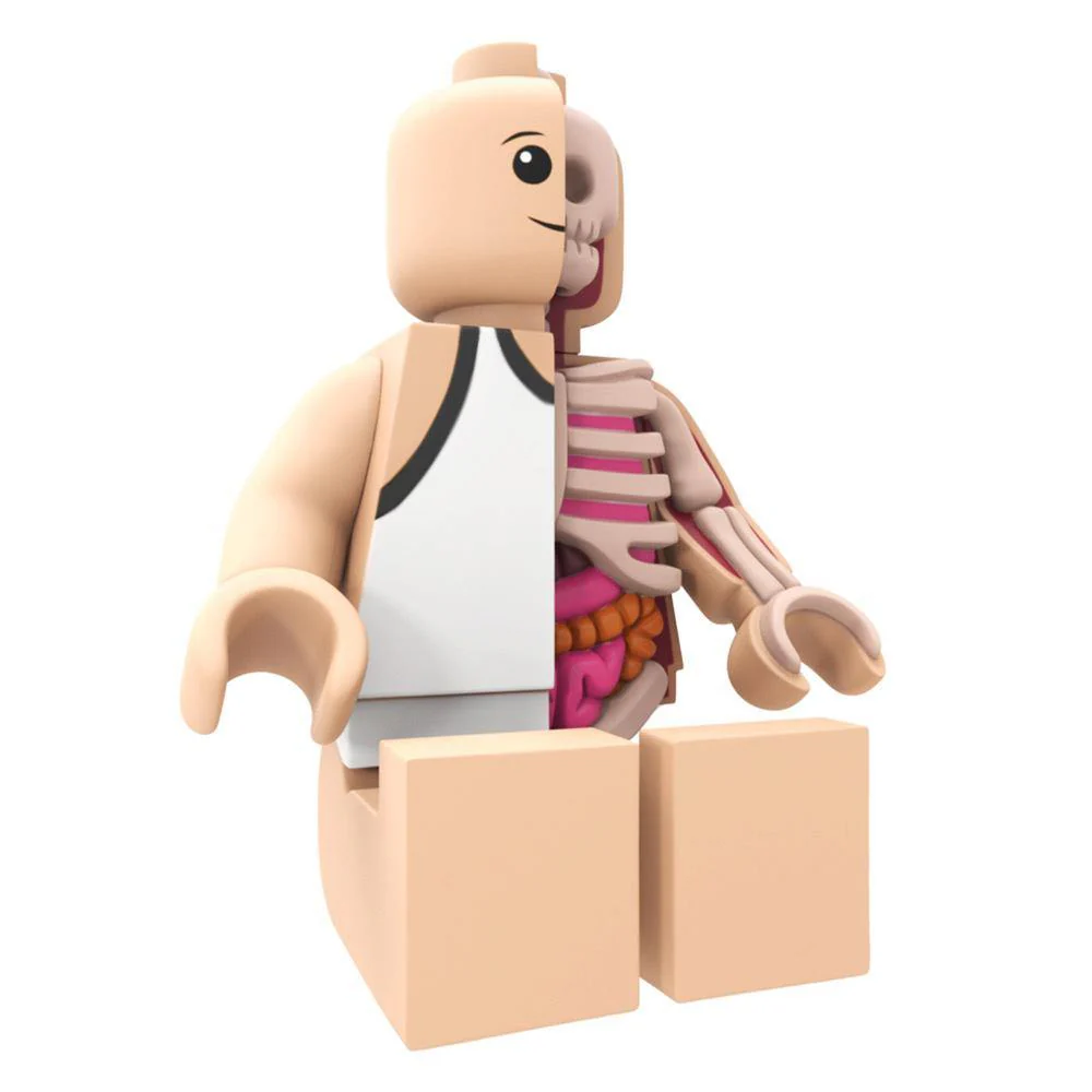 Mighty Jaxx x Jason Freeny Bigger Micro Anatomic - Image 3