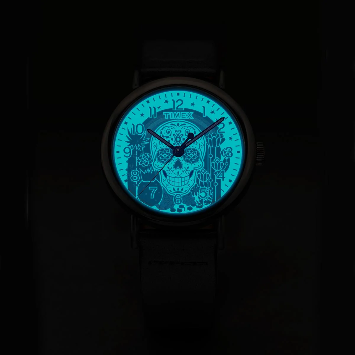 Timex Weekender Day Of The Dead TW2Y15900 - Image 4
