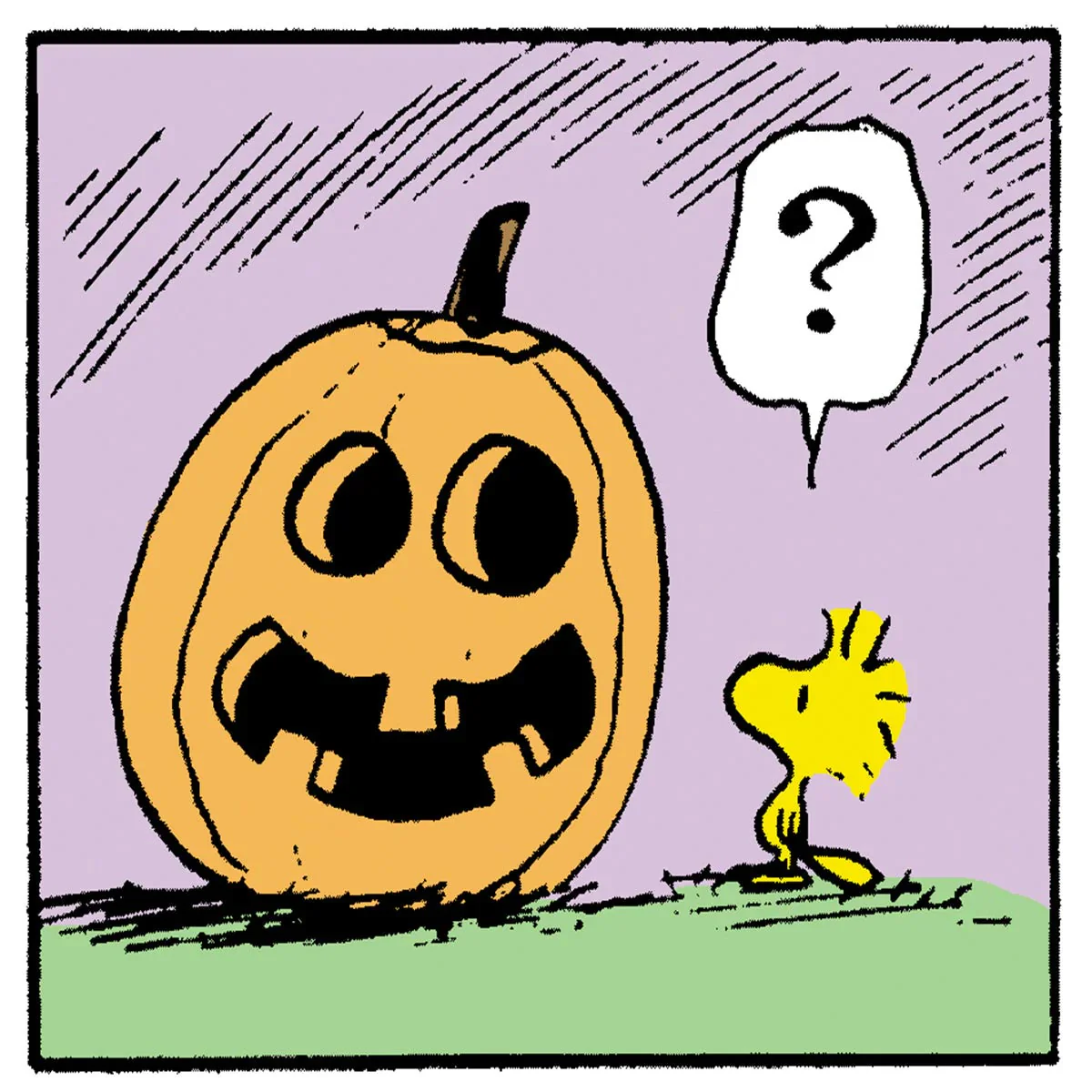 Timex Weekender Peanuts Snoopy Pumpkin TW2Y12300 - Image 4
