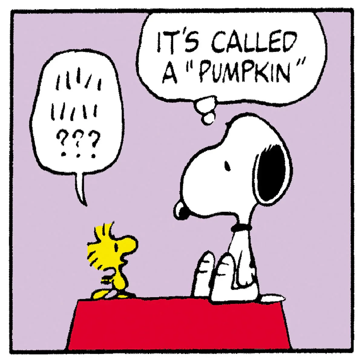 Timex Weekender Peanuts Snoopy Pumpkin TW2Y12300 - Image 5